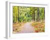 Washington State, Colville County. Trail in the Tamarack forest along highway 20 in Sherman Pass.-Julie Eggers-Framed Photographic Print