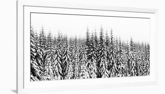 Washington State, Crystal Mountain Area. Winter Snow-Savanah Stewart-Framed Photographic Print