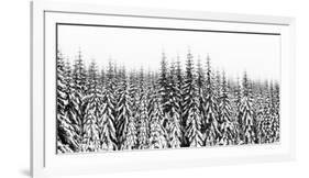 Washington State, Crystal Mountain Area. Winter Snow-Savanah Stewart-Framed Photographic Print