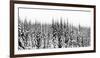 Washington State, Crystal Mountain Area. Winter Snow-Savanah Stewart-Framed Photographic Print