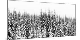 Washington State, Crystal Mountain Area. Winter Snow-Savanah Stewart-Mounted Photographic Print