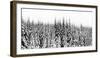 Washington State, Crystal Mountain Area. Winter Snow-Savanah Stewart-Framed Photographic Print