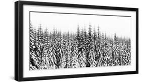Washington State, Crystal Mountain Area. Winter Snow-Savanah Stewart-Framed Photographic Print