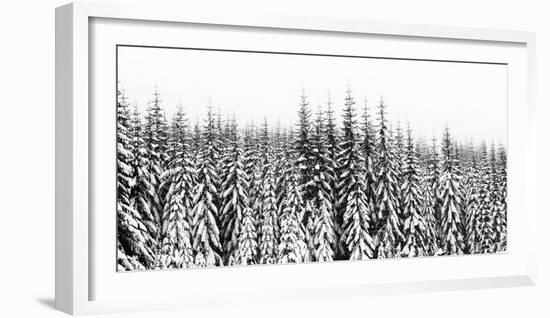 Washington State, Crystal Mountain Area. Winter Snow-Savanah Stewart-Framed Photographic Print