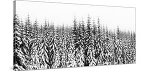 Washington State, Crystal Mountain Area. Winter Snow-Savanah Stewart-Stretched Canvas