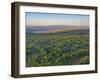 Washington State. Fields of arrowleaf balsamroot and Lupine on the hills above the Columbia River.-Julie Eggers-Framed Photographic Print