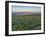 Washington State. Fields of arrowleaf balsamroot and Lupine on the hills above the Columbia River.-Julie Eggers-Framed Photographic Print