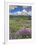 Washington State, Gifford Pinchot NF. Mount Saint Helens Landscape-Steve Terrill-Framed Photographic Print