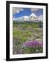 Washington State, Gifford Pinchot NF. Mount Saint Helens Landscape-Steve Terrill-Framed Photographic Print