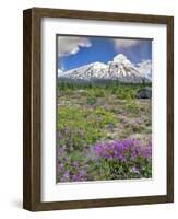 Washington State, Gifford Pinchot NF. Mount Saint Helens Landscape-Steve Terrill-Framed Photographic Print