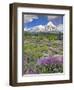 Washington State, Gifford Pinchot NF. Mount Saint Helens Landscape-Steve Terrill-Framed Photographic Print