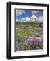 Washington State, Gifford Pinchot NF. Mount Saint Helens Landscape-Steve Terrill-Framed Photographic Print