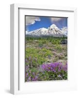 Washington State, Gifford Pinchot NF. Mount Saint Helens Landscape-Steve Terrill-Framed Photographic Print