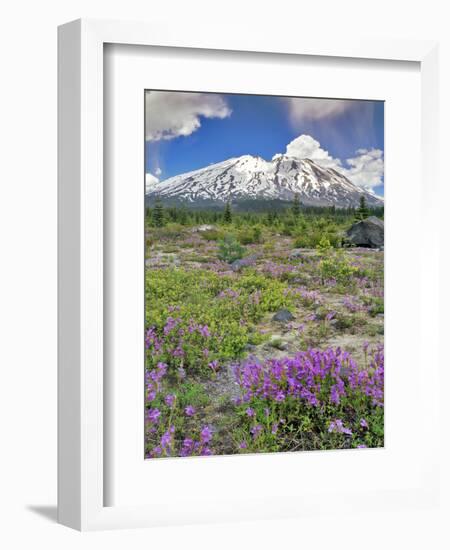 Washington State, Gifford Pinchot NF. Mount Saint Helens Landscape-Steve Terrill-Framed Photographic Print
