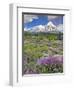 Washington State, Gifford Pinchot NF. Mount Saint Helens Landscape-Steve Terrill-Framed Photographic Print