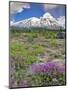 Washington State, Gifford Pinchot NF. Mount Saint Helens Landscape-Steve Terrill-Mounted Photographic Print