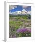 Washington State, Gifford Pinchot NF. Mount Saint Helens Landscape-Steve Terrill-Framed Photographic Print