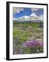 Washington State, Gifford Pinchot NF. Mount Saint Helens Landscape-Steve Terrill-Framed Photographic Print