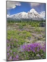 Washington State, Gifford Pinchot NF. Mount Saint Helens Landscape-Steve Terrill-Mounted Photographic Print