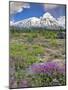 Washington State, Gifford Pinchot NF. Mount Saint Helens Landscape-Steve Terrill-Mounted Photographic Print