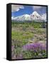 Washington State, Gifford Pinchot NF. Mount Saint Helens Landscape-Steve Terrill-Framed Stretched Canvas