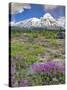 Washington State, Gifford Pinchot NF. Mount Saint Helens Landscape-Steve Terrill-Stretched Canvas