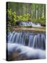 Washington State, Gifford Pinchot NF. Waterfall and Forest Scenic-Don Paulson-Stretched Canvas