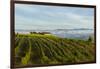 Washington State, Lake Chelan. Vineyard-Richard Duval-Framed Photographic Print