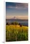 Washington State, Lyle. Mt. Hood Seen from a Vineyard Along the Columbia River Gorge-Richard Duval-Framed Premium Photographic Print