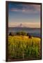 Washington State, Lyle. Mt. Hood Seen from a Vineyard Along the Columbia River Gorge-Richard Duval-Framed Premium Photographic Print