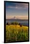 Washington State, Lyle. Mt. Hood Seen from a Vineyard Along the Columbia River Gorge-Richard Duval-Framed Premium Photographic Print