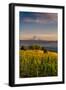 Washington State, Lyle. Mt. Hood Seen from a Vineyard Along the Columbia River Gorge-Richard Duval-Framed Photographic Print