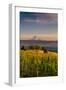 Washington State, Lyle. Mt. Hood Seen from a Vineyard Along the Columbia River Gorge-Richard Duval-Framed Photographic Print