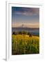 Washington State, Lyle. Mt. Hood Seen from a Vineyard Along the Columbia River Gorge-Richard Duval-Framed Photographic Print