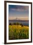 Washington State, Lyle. Mt. Hood Seen from a Vineyard Along the Columbia River Gorge-Richard Duval-Framed Photographic Print