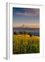 Washington State, Lyle. Mt. Hood Seen from a Vineyard Along the Columbia River Gorge-Richard Duval-Framed Photographic Print