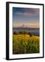 Washington State, Lyle. Mt. Hood Seen from a Vineyard Along the Columbia River Gorge-Richard Duval-Framed Photographic Print