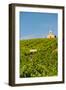 Washington State, Mabton. Malbec Grapes-Richard Duval-Framed Photographic Print