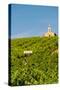 Washington State, Mabton. Malbec Grapes-Richard Duval-Stretched Canvas