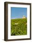 Washington State, Mabton. Malbec Grapes-Richard Duval-Framed Photographic Print