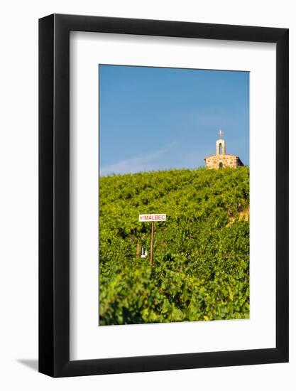 Washington State, Mabton. Malbec Grapes-Richard Duval-Framed Photographic Print