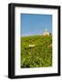 Washington State, Mabton. Malbec Grapes-Richard Duval-Framed Photographic Print