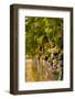 Washington State, Mattawa. Cabernet Franc Grapes-Richard Duval-Framed Photographic Print