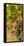 Washington State, Mattawa. Cabernet Franc Grapes-Richard Duval-Framed Stretched Canvas
