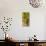 Washington State, Mattawa. Cabernet Franc Grapes-Richard Duval-Stretched Canvas displayed on a wall