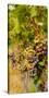 Washington State, Mattawa. Cabernet Franc Grapes-Richard Duval-Stretched Canvas