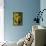 Washington State, Mattawa. Cabernet Franc Grapes-Richard Duval-Framed Stretched Canvas displayed on a wall