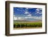 Washington State, Mattawa. Vineyard on the Wahluke Slope-Richard Duval-Framed Photographic Print