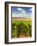 Washington State, Mattawa. Vineyard on the Wahluke Slope-Richard Duval-Framed Photographic Print