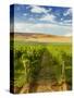 Washington State, Mattawa. Vineyard on the Wahluke Slope-Richard Duval-Stretched Canvas